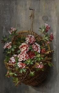 Weidenkorb Mit Alpenrosen.