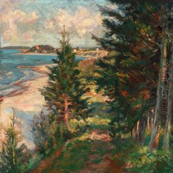 Fir Trees On A Hillside Near The Coast - view 1