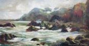 Where Bush Meets The Sea, New Zealand