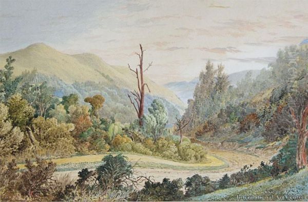 Four Homes In The Leith Valley, Dunedin - view 1