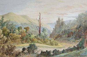 Four Homes In The Leith Valley, Dunedin by George O'Brien