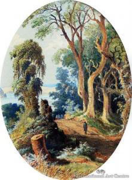Dunedin Harbour From Mornington - view 1