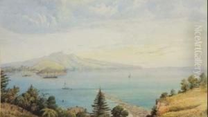 Dunedin Harbour