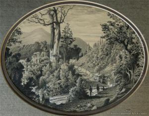 Leith Valley, Dunedin - view 1