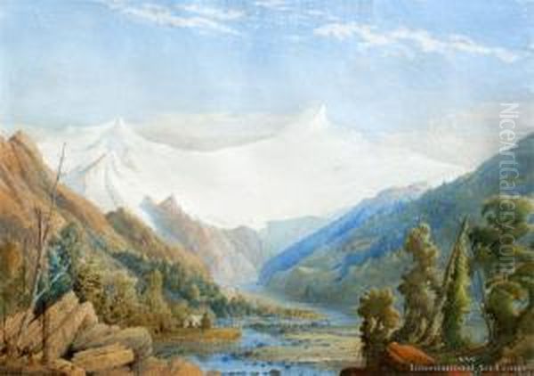 Surveyor's Camp, Mt. Aspiring - view 1