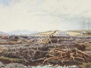 Duke Of Sutherland's Moorland Reclamation, Sutherland