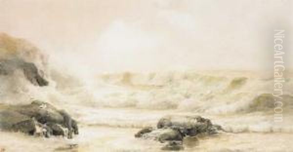 Seagulls On Rocks, Portrush - view 1