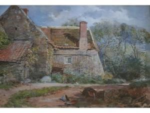Poultry By An Old Cottage