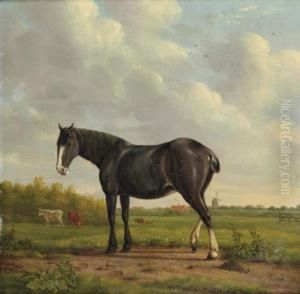 A Black Horse In A Polder Landscape