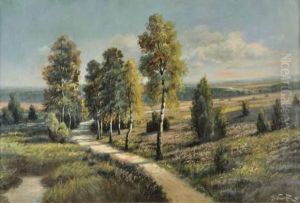 Paysage Paysage