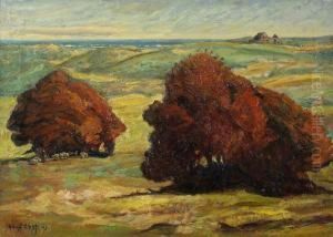 Dunenlandschaft Mit Herbstbaumen