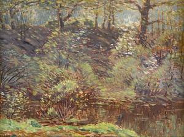Steep Hollow, Spring, Cos Cob - view 1