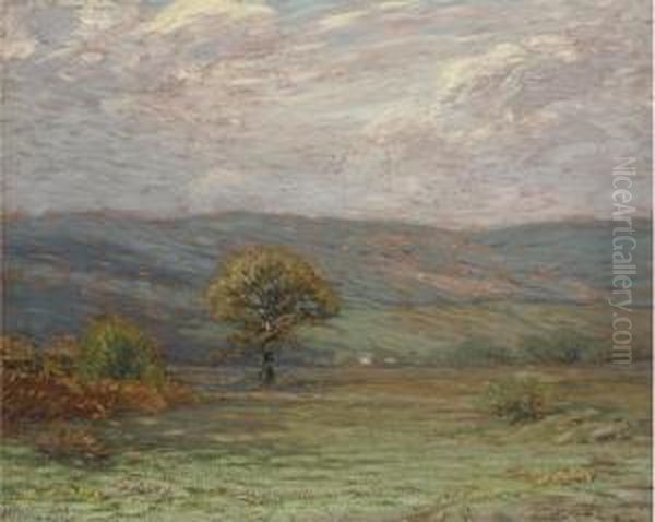 In The Mountains - view 1