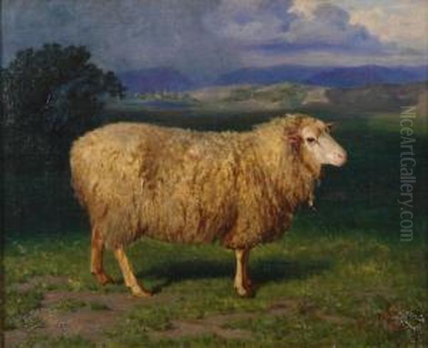 Portrait Of A Sheep In Front Of A Landscape - view 1
