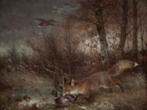 Fuchs Packt Ente - view 1