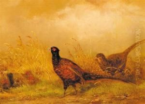 Feeding by Carl Friedrich Ockert