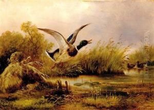 Rising by Carl Friedrich Ockert
