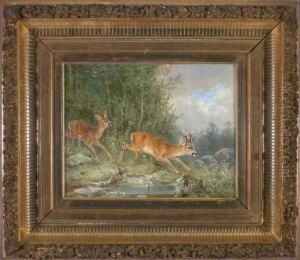 Rehbock Und Ricke Am Waldrand Beim Uberqueren Einer Pfutze by Carl Friedrich Ockert