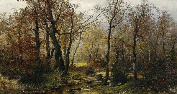 Herbstliche Waldlandschaft - view 1