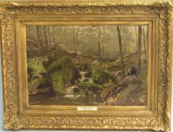 Waldlandschaft Mit Bach - view 1