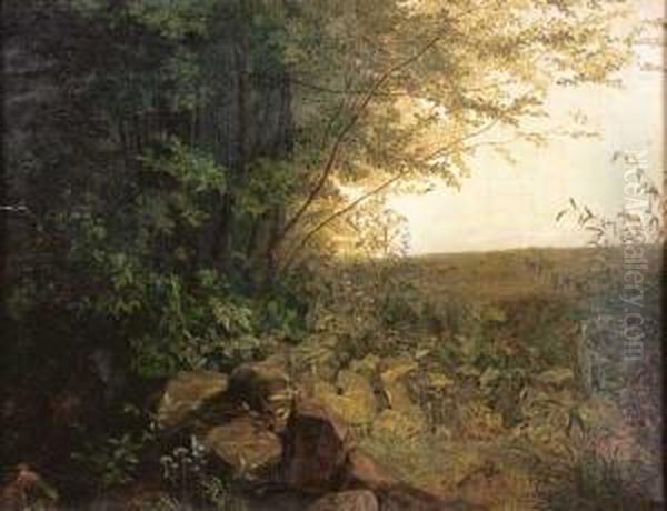 Vue D'un Sous-bois - view 1