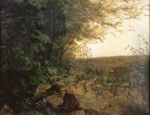 Vue D'un Sous-bois by Ernst Ferdinand Oehme