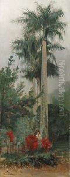 Jardim Botanico, Rio De Janeiro - view 1