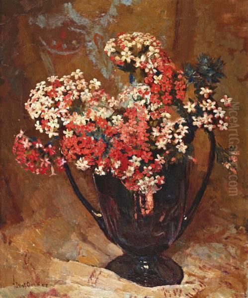 Rood-witte Floxen In Vaas - view 1