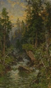 Wildbach Wildbach