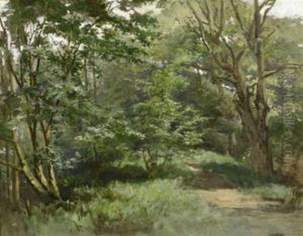 A Forest Clearing - view 1