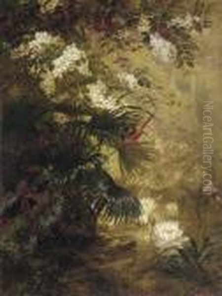 Tropical Paradise - view 1