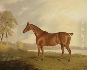 A Chestnut Horse In A Landscape