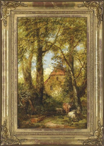 Cattle In A Wooded Glade - view 1