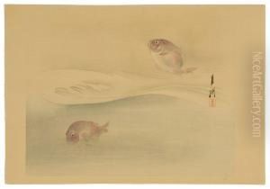 Depicting Two Fish. by Ogata Gekko