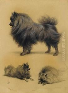Studies Of A Pomeranian by Ferdinand Oger