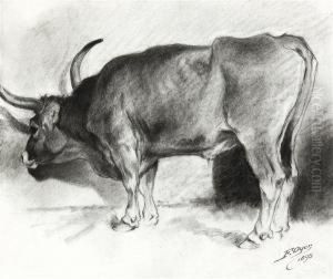 Etude De Buffle by Ferdinand Oger