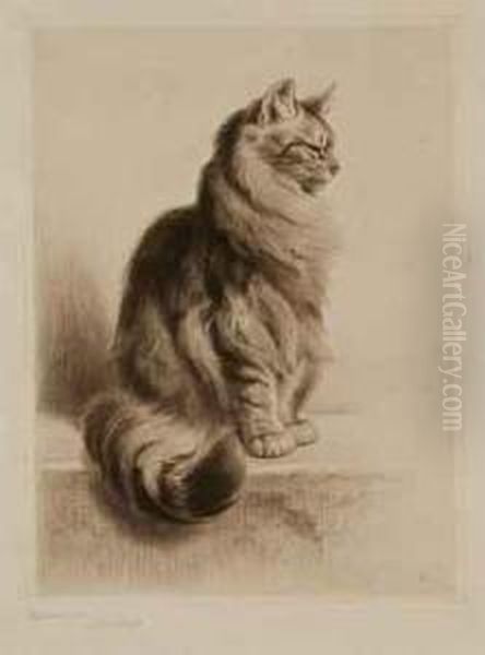 Chat De Profil - view 1