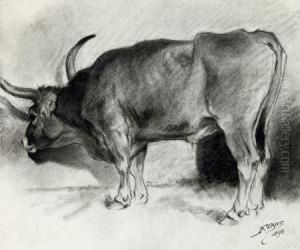 1) Le Taureau
