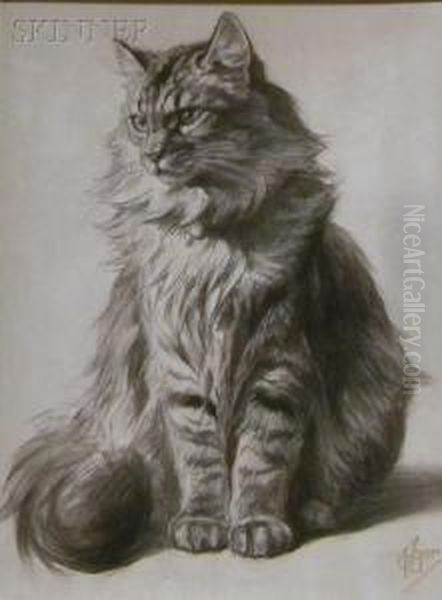 Study Of A Tabbycat - view 1
