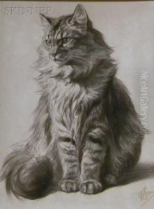 Study Of A Tabbycat by Ferdinand Oger