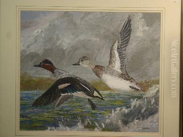 Two Ducks Taking Flight - view 1