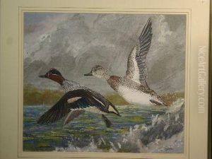 Two Ducks Taking Flight by Charles Ogilvy