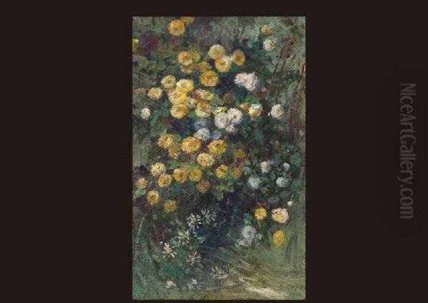 Chrysanthemum - view 1