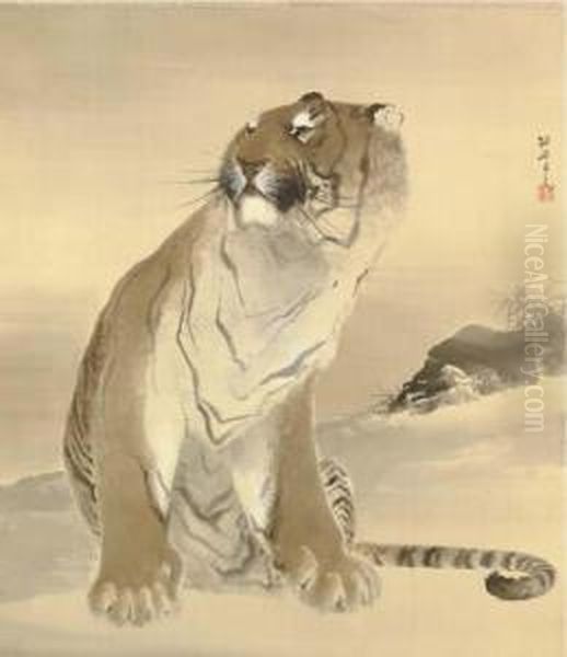 Tiger - view 1