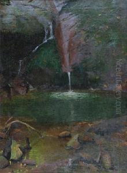 Gorski Staw - view 1