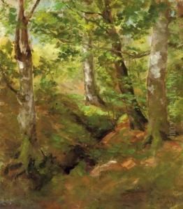 A Forest At Midday