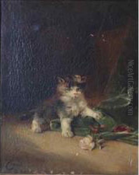 Chaton - view 1