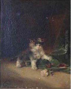 Chaton by Federico Olaria