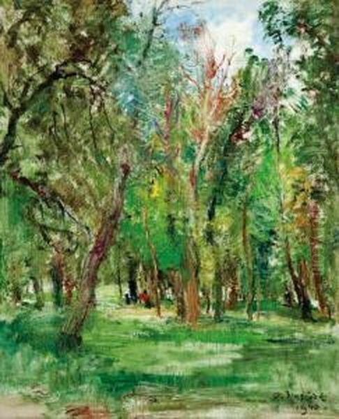 V Parku - view 1