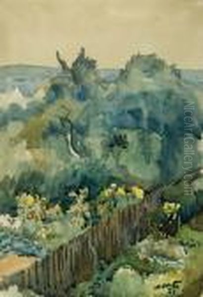 Widok Ogrodu W Zgorzelcu - view 1